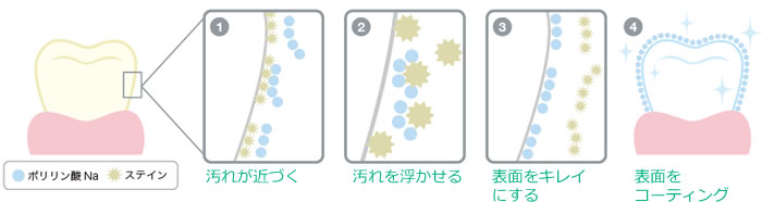 ポリリン酸プラチナホワイトニング仕組み